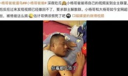 热点爆料杨哥直播视频在哪看